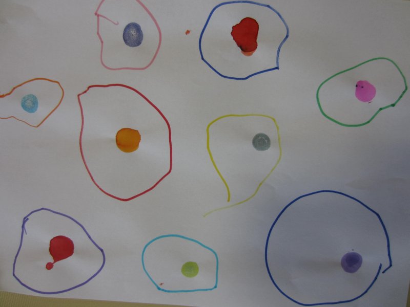 Travail de graphisme: le rond